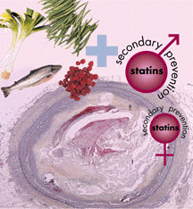 lipidoponijavashta_terapia