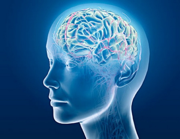Selfish Brain (Егоистичният мозък), Защо толкова много хора развиват затлъстяване и захарен диабет тип 2? Според изследванията на мозъка и невробиологията при изследванията на заболяванията на обмяната се пропуска основното свойство на мозъка – метафорично казано – неговият егоизъм (на англ.: „selfishness“), 